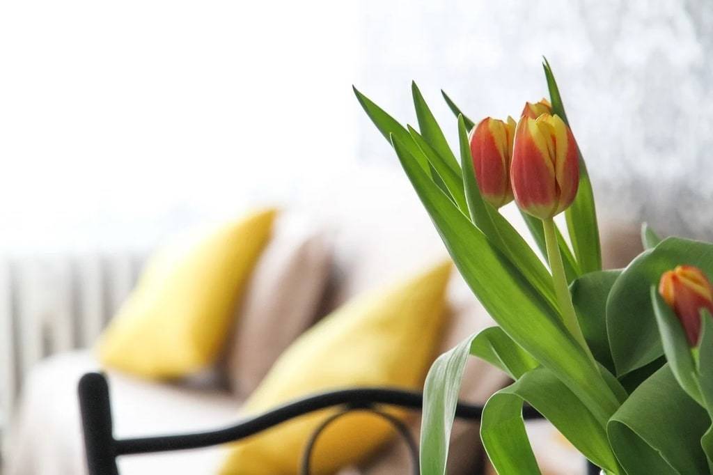 Des conseils pour meubler son intérieur intelligemment